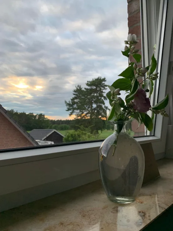 Einrichtungsberatung Damen-WG 4 Ein Augenblick aus dem neuen Zuhause – Norddeutschland, Abenddämmerung.